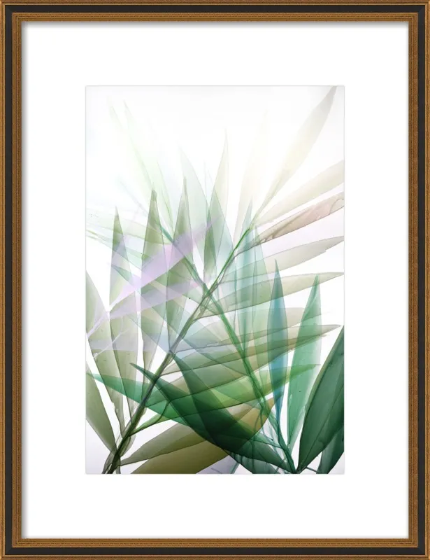 Tropical Study no. 8 by Marina Dunbar  for Artfully Walls