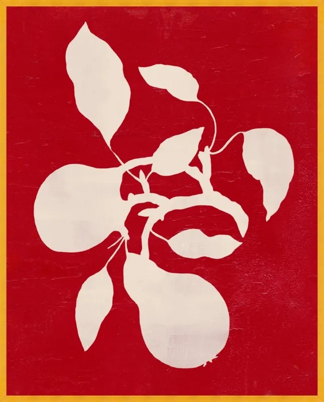 pears by Ruti Shaashua for Artfully Walls