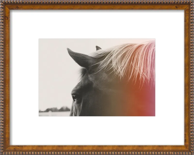 Pink Pony by Alicia Bock for Artfully Walls