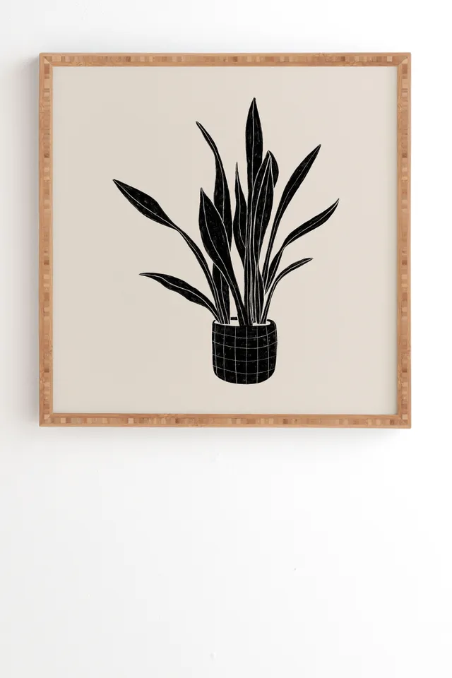 Black And White Snake Plant by Alisa Galitsyna - Framed Wall Art Bamboo 12" x 12"