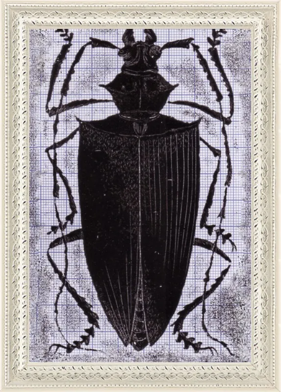 Black Beetle on Grey by Tennopent Sooster for Artfully Walls