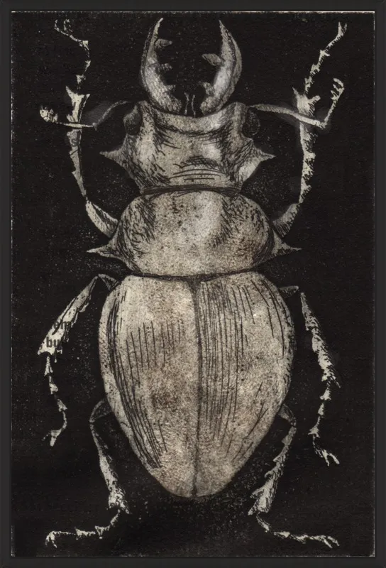 Grey Beetle on Black by Tennopent Sooster for Artfully Walls