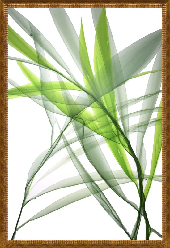Tropical Study no. 3 by Marina Dunbar  for Artfully Walls