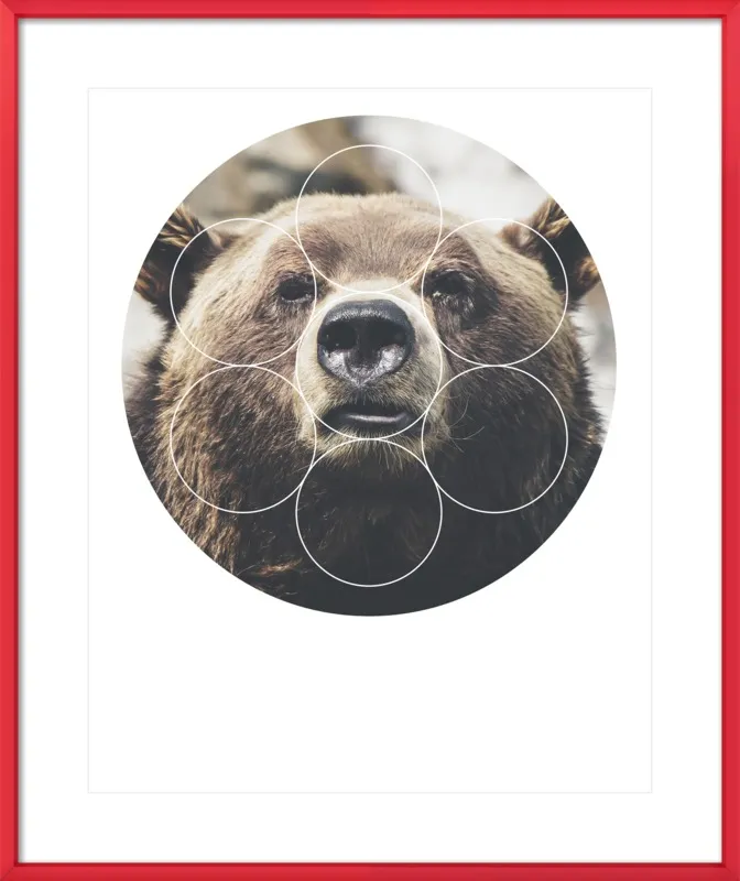 Big Bear Buddy - Geometric Photography by Emiliano Deificus for Artfully Walls