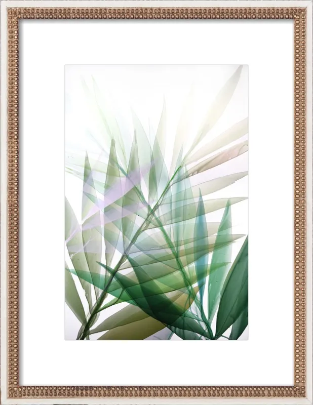 Tropical Study no. 8 by Marina Dunbar  for Artfully Walls