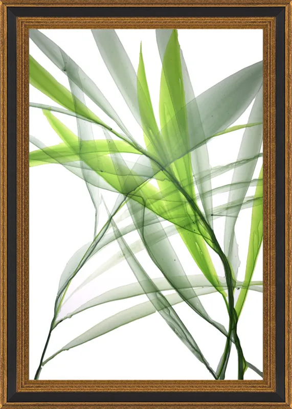 Tropical Study no. 3 by Marina Dunbar  for Artfully Walls