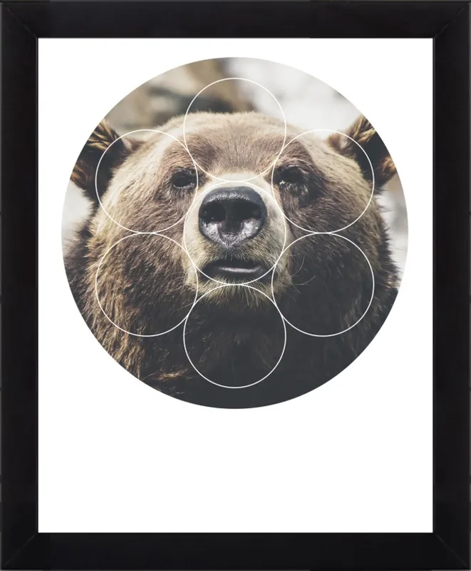 Big Bear Buddy - Geometric Photography by Emiliano Deificus for Artfully Walls