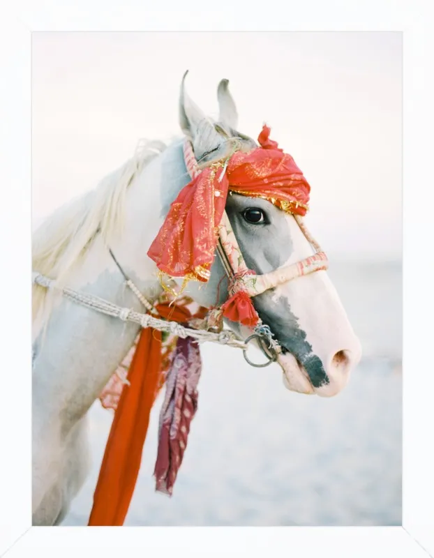 Marwari by Andrew Jacona for Artfully Walls