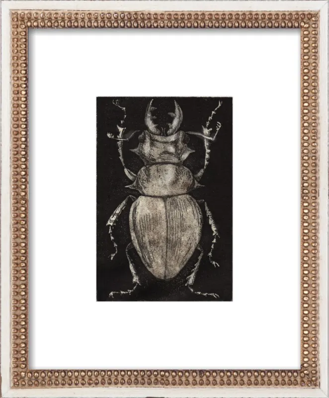 Grey Beetle on Black by Tennopent Sooster for Artfully Walls