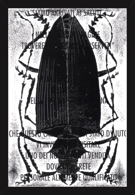 Black Beetle on Words by Tennopent Sooster for Artfully Walls
