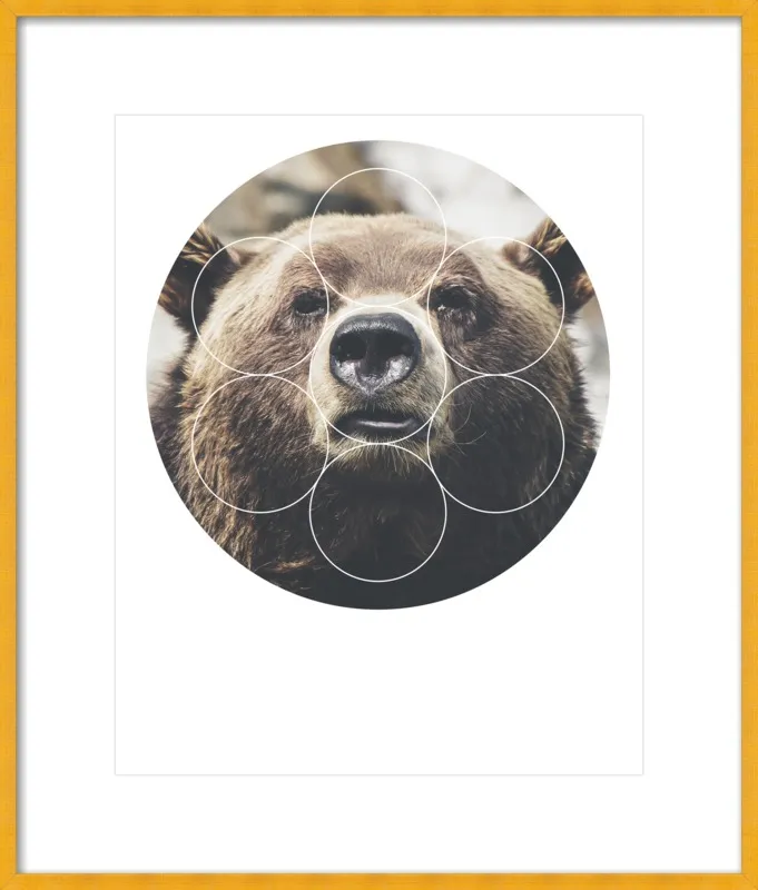 Big Bear Buddy - Geometric Photography by Emiliano Deificus for Artfully Walls