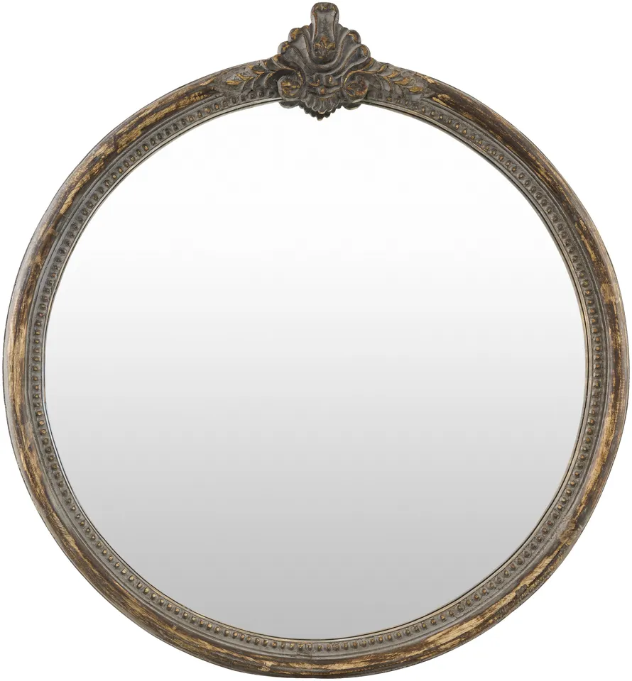 Aden Brown 26"H x 24"W x 2"D Accent Mirror