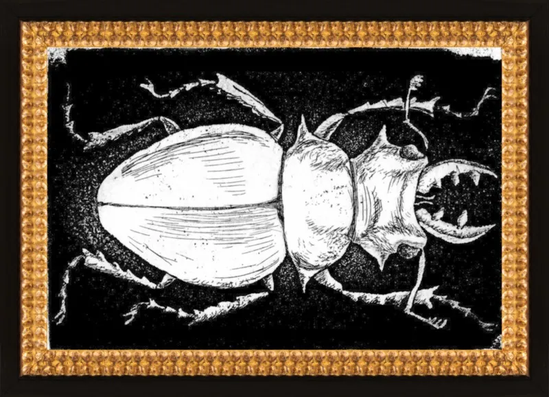 White Beetle on Black by Tennopent Sooster for Artfully Walls