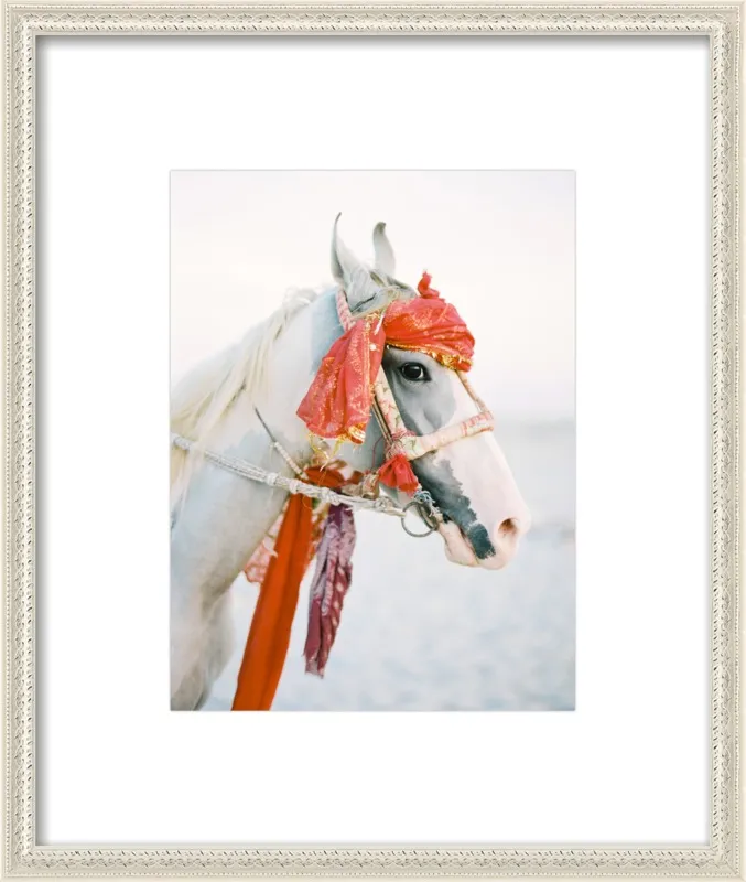 Marwari by Andrew Jacona for Artfully Walls