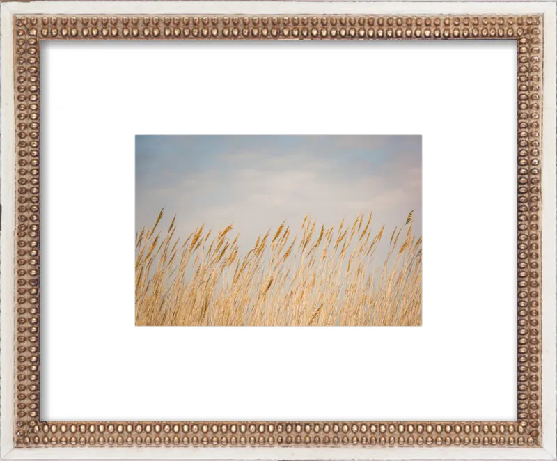 Nantucket Gold by Ann Hudec for Artfully Walls