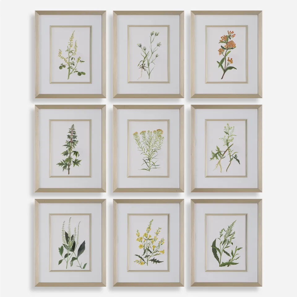 Botanical Flowers Framed Prints Set/9