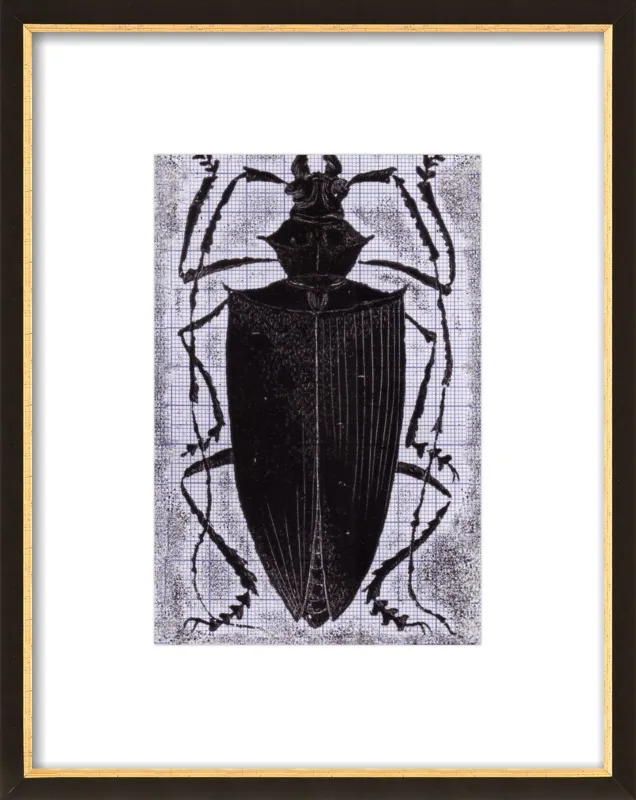 Black Beetle on Grey by Tennopent Sooster for Artfully Walls