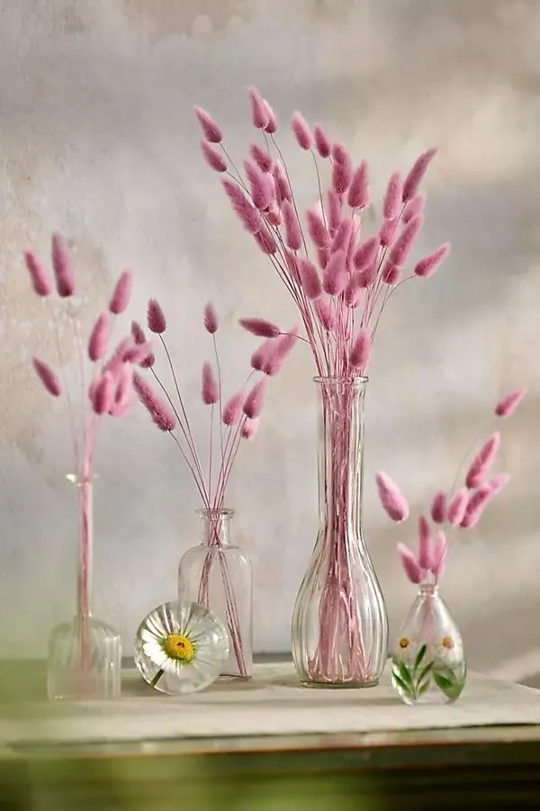 Preserved Pink Bunny Tails Bunch