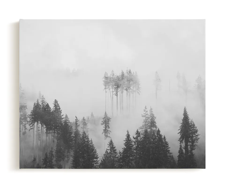 Morning Fog Limited Edition Fine Art Print