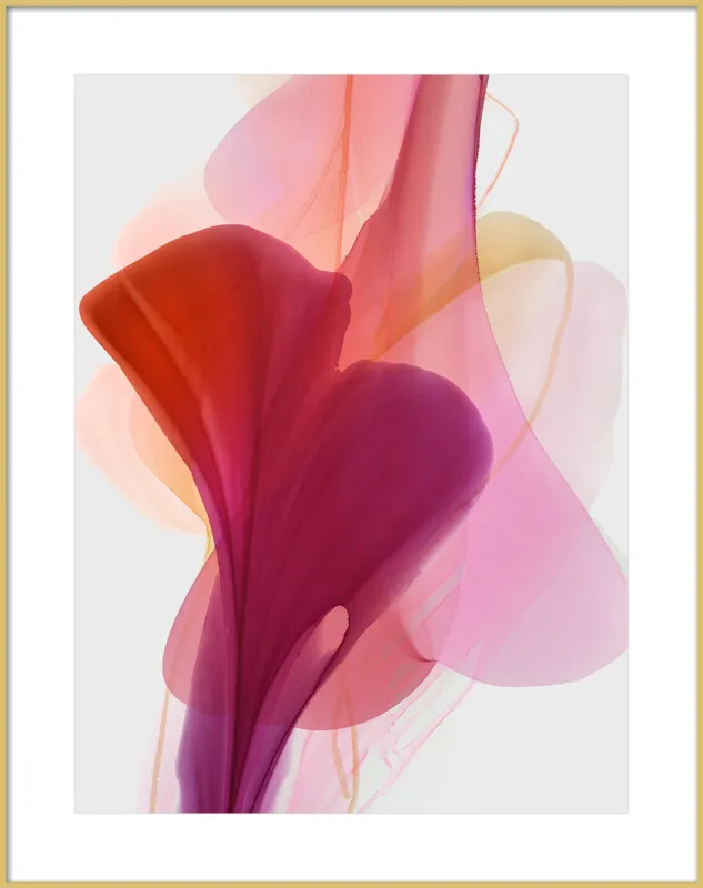 Abstract Flora Bloomlands 33 by Marta Spendowska for Artfully Walls