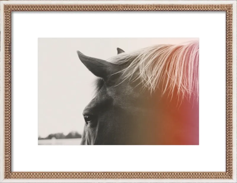 Pink Pony by Alicia Bock for Artfully Walls