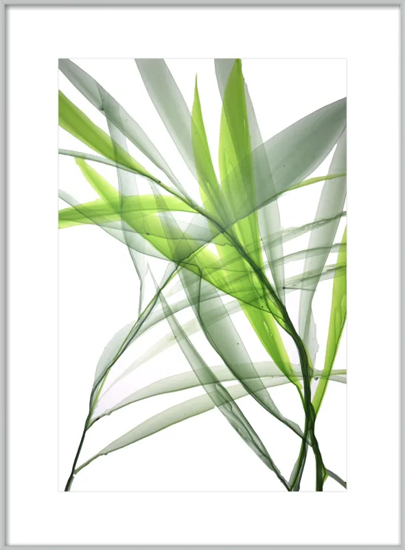 Tropical Study no. 3 by Marina Dunbar  for Artfully Walls