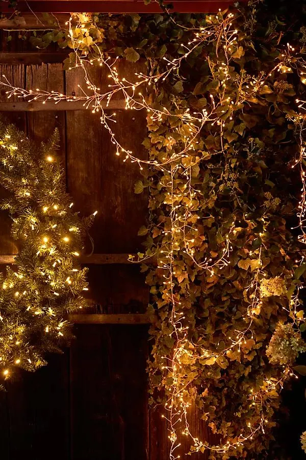 Stargazer Tendril Vine Lights