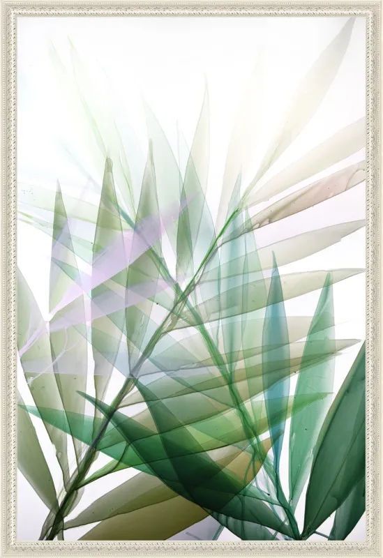 Tropical Study no. 8 by Marina Dunbar  for Artfully Walls