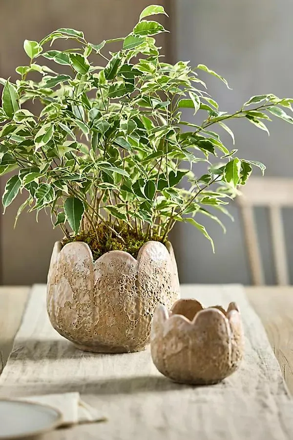 Rounded Leaves Ceramic Planter