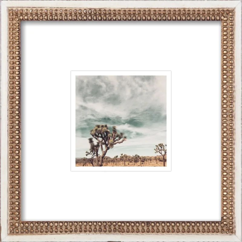 Joshua Tree Moment by Jan Weiss for Artfully Walls