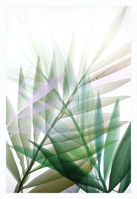 Tropical Study no. 8 by Marina Dunbar  for Artfully Walls
