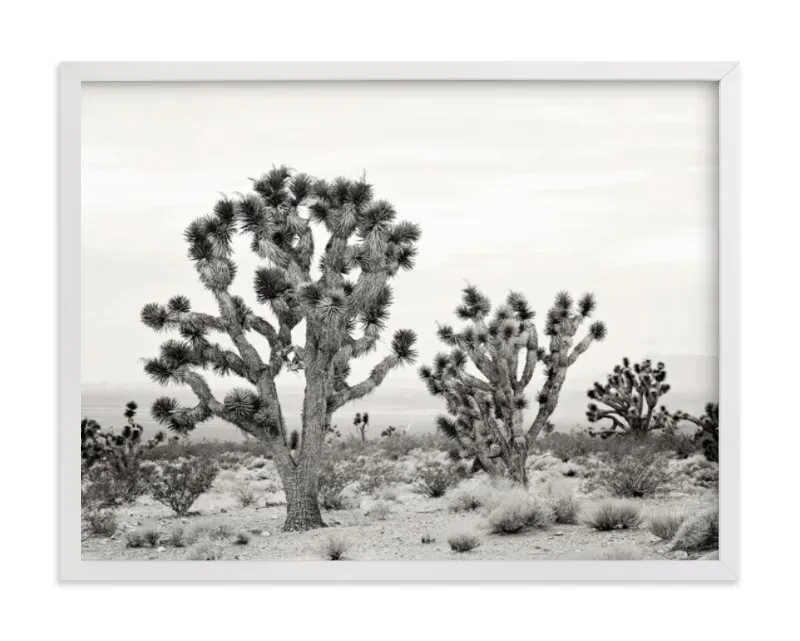 Joshua Tree Limited Edition Fine Art Print