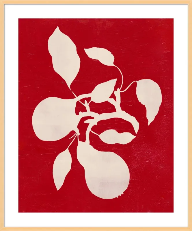 pears by Ruti Shaashua for Artfully Walls