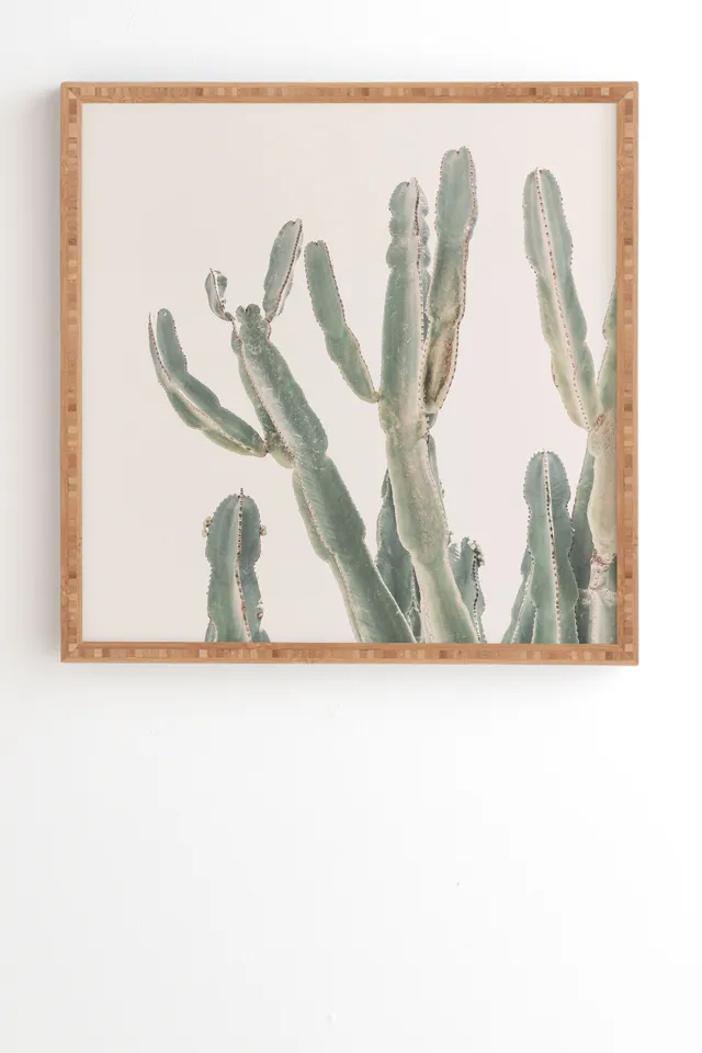 Sunrise Cactus by Sisi and Seb - Framed Wall Art Bamboo 30" x 30"