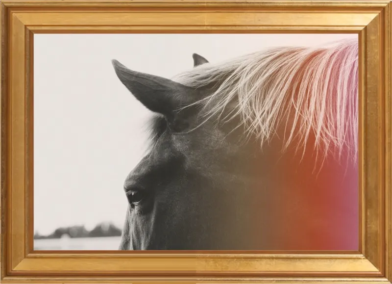 Pink Pony by Alicia Bock for Artfully Walls