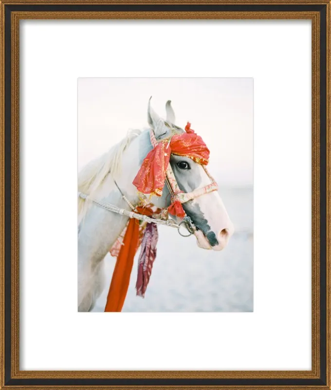 Marwari by Andrew Jacona for Artfully Walls