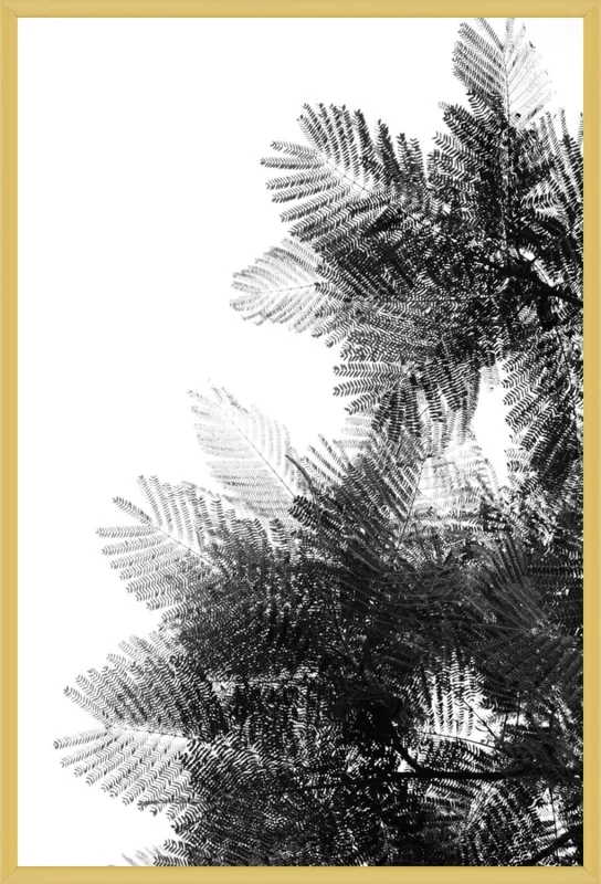 The Tree Top I by Tal Paz-Fridman for Artfully Walls