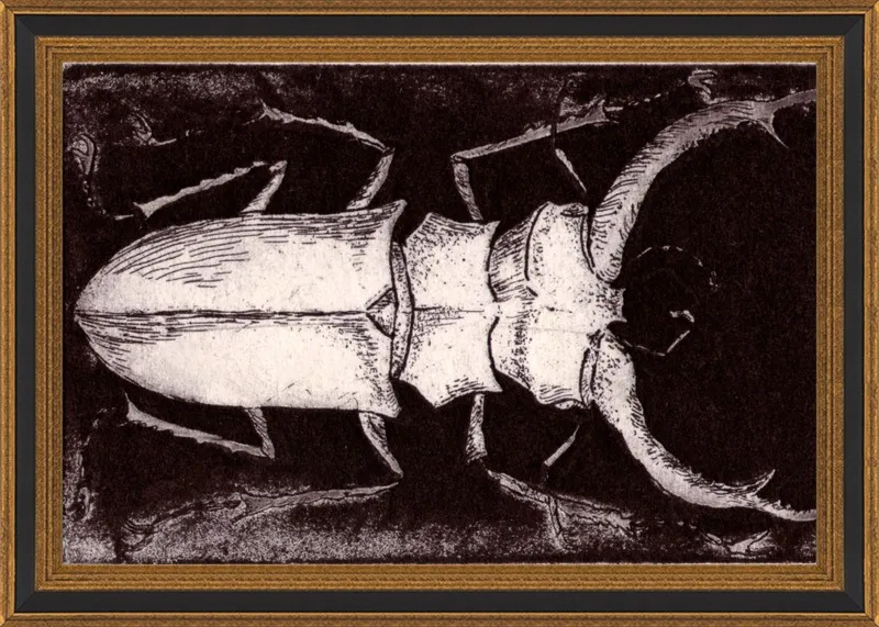 White Beetle on Dark Brown by Tennopent Sooster for Artfully Walls