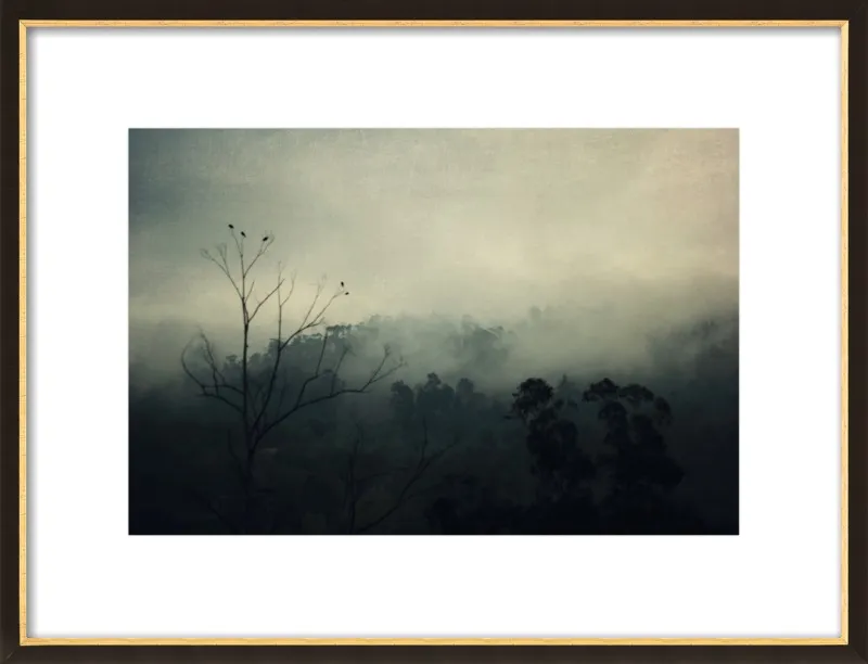 bird song by Ingrid Beddoes for Artfully Walls