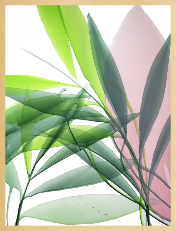 Tropical Study no. 15 by Marina Dunbar  for Artfully Walls