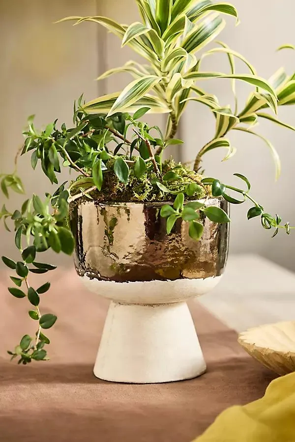 Metallic Colorblock Ceramic Urn Planter