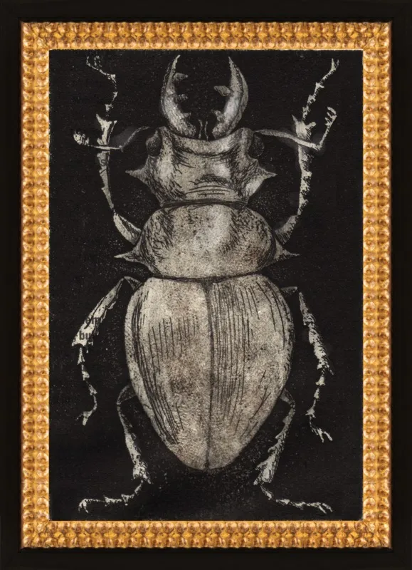 Grey Beetle on Black by Tennopent Sooster for Artfully Walls