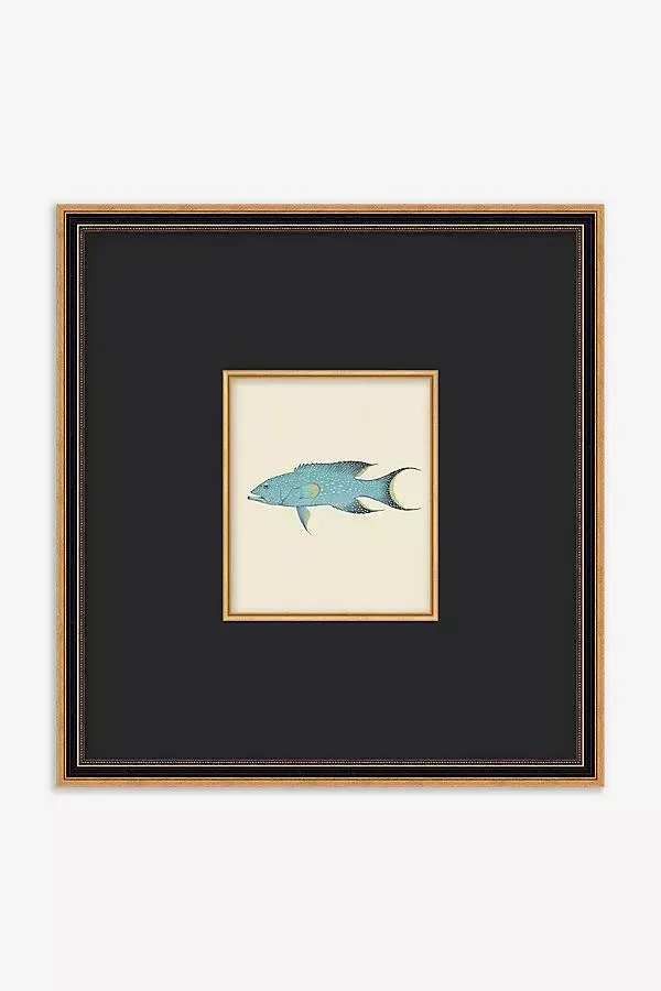 Petite Catch Wall Art