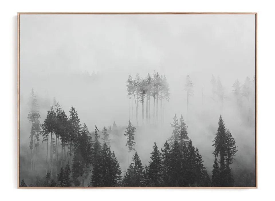 Morning Fog Limited Edition Fine Art Print