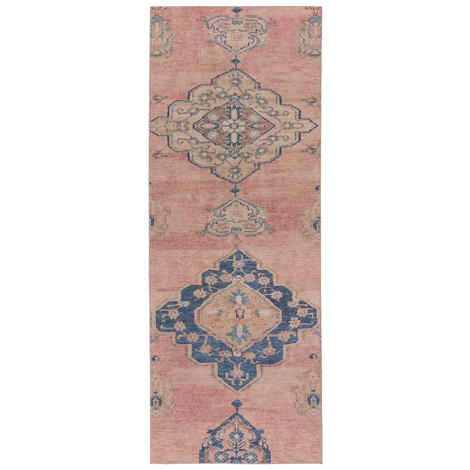 Clanton Medallion Pink/ Blue Area Rug (3'X5')