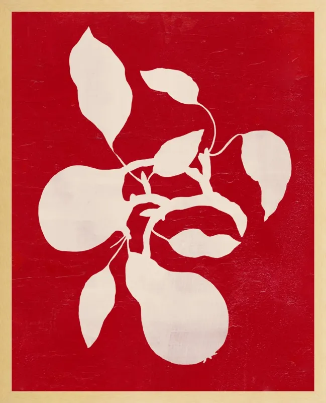 pears by Ruti Shaashua for Artfully Walls