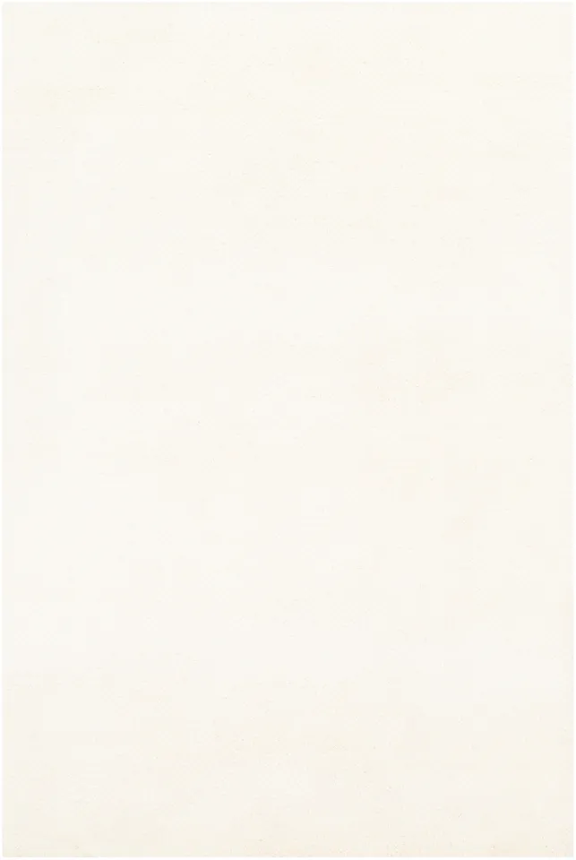 Parma White Indoor 8' x 10' Handmade Rug
