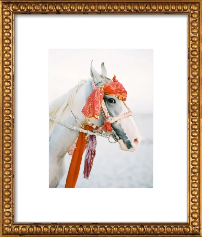 Marwari by Andrew Jacona for Artfully Walls