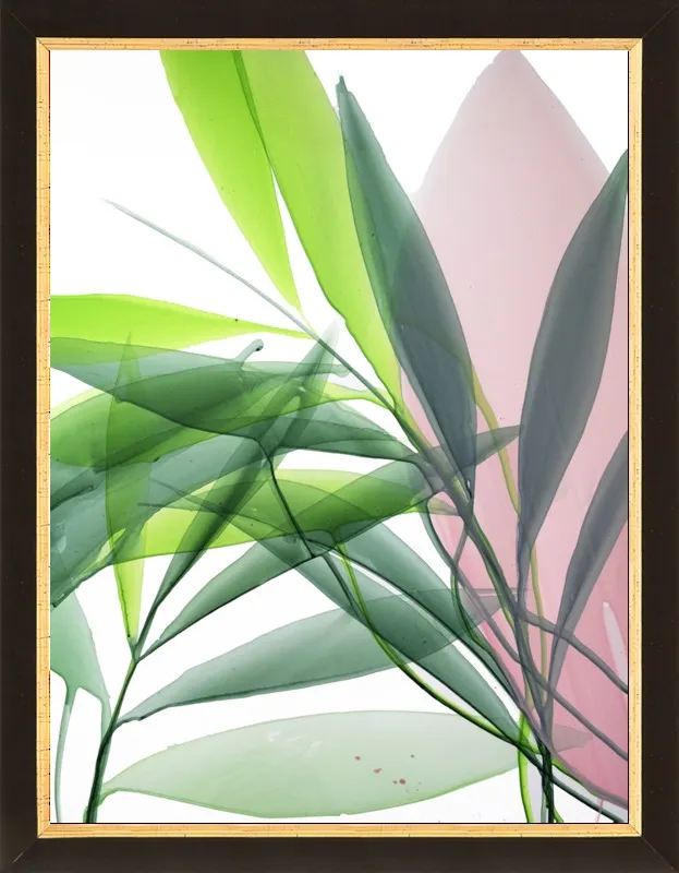 Tropical Study no. 15 by Marina Dunbar  for Artfully Walls