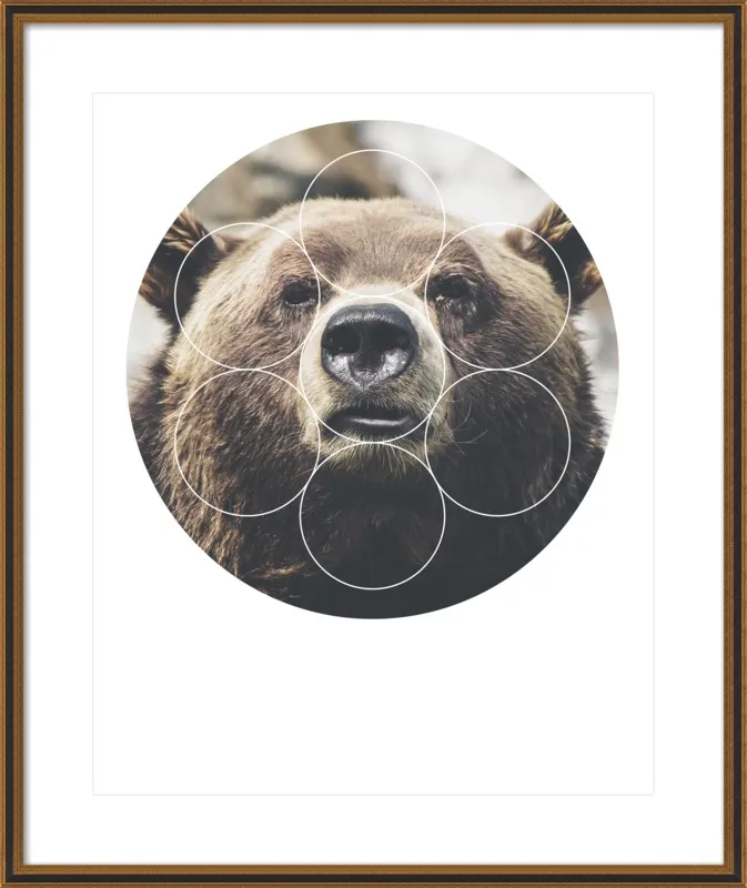 Big Bear Buddy - Geometric Photography by Emiliano Deificus for Artfully Walls